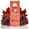 Khamseen – aróma Vaping Gentlemen Club 11ml