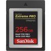 SanDisk 256GB SDCFE-256G-GN4NN