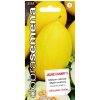 DOBRASEMENA Melón Cukrový JAUNE CANARI 3