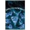 Pyramid International Plagát Harry Potter - Patronus
