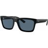 Ray-Ban Warren RB4396 667780 - M (54)