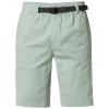 FOX kraťasy - tech bravo cargo short eucalyptus (341) veľkosť: L