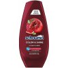 Schauma Color & Shine kondicionér 250 ml
