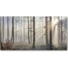 Foto obraz akrylový do obývačky Hmla v lese 100x50 cm
