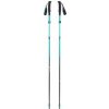 Black Diamond DISTANCE CARBON FLZ POLES Women