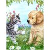 Norimpex Diamantové maľovanie Šteňa a mačiatko 30 x 40 cm