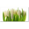 Foto obraz akryl do obývačky Tulipány 100x50 cm