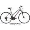 KELLYS ALPINA ECO LC10 2024 Grey Veľkosť rámu: M