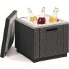 Allibert KETER ICE CUBE antracit (213828) - plastový úložný box