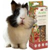 Vitapol Vita Herbal Smakers červená zelenina pro hlodavce a králíky 5 x 90 g
