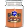 Vonná sviečka v skle s viečkom Halloween 500g 100 hodín SND99-466 Aura