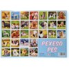 Pexeso Pes