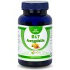 Naturalpharm Amygdalin Vitamin B17 35 mg tabliety 200 ks