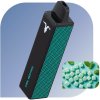 IGNITE 600 Puffs - Cool Menthol (20mg/ml) - jednorazová bezdymka
