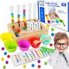DREVENÁ HRAČKA NA TRIEDENIE PRE DETI Montessori Hračka Senzorická Hra Guličky 81ks