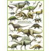 EUROGRAPHICS Puzzle Svet dinosaurov: Krieda 1000 dielikov
