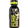 Kevin Levrone Shaaboom Pump Juice Shot 120 ml grapefruit lime