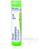 Ferrum Phosphoricum gra.1 x 4 g 5CH