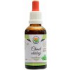 Salvia Paradise Chmel otáčivý AF tinktura 50 ml