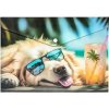 Obal na patent, A4, PP, 180 mikron, PANTA PLAST Chillout dog