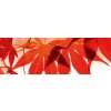DIMEX | Fototapeta do kuchyne Červené listy KI-180-008 | 180 x 60 cm | červená, biela, hnedá + Samolepiace fototapety do kuchyne DIMEX Červené listy KI-180-008 v rozmere 180 x 60 cm