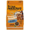 FELLOWS Hmyzie granule - pre mestské a menej aktívne psy