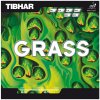 Tibhar Grass