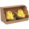 Sliepočka s kuriatkami, 2ks