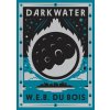 Darkwater: Voices from Within the Veil (of the Diaspora) (Vital-Lazare Erica)