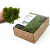 KreaBox - Olivovo zelený lišajník