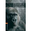 A Stranger at Green Knowe - Lucy M. Boston Retold by Diane Mowat