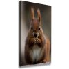 Vertikálny foto obraz na plátne do obývačky Veverka 50x100 cm