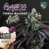 T.H.Seeds™ Cannabis Seeds Auto French Macaron, rôzne balenia, feminizované 6+1 ks