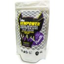 SUM Organic hemp Protein shake BE VEGAN HERO 500 g