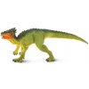 Safari® Dracorex dinosaurus