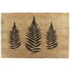 Rohožka z kokosového vlákna 40x60 cm Fern Leaf – Artsy Doormats