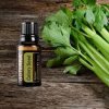 doTerra Celery Seed-15 ml, zelerový esenciálny olej