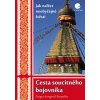 Cesta soucitného bojovníka Dzigar Kongtrül 2012 (E-kniha)