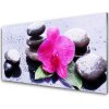 Sklenený obklad Do kuchyne Kvet kamene umenie 100x50 cm