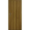 Centurion Akustik A1/P