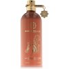 Montale Paris Arabians Musk EDP 100 ml (unisex)
