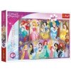 Trefl Portréty Disneyho princezien 160 dielikov
