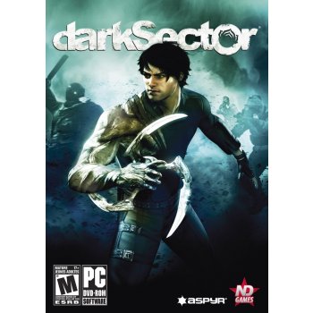 Dark Sector