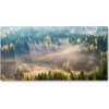 Fotoobraz na skle Hmla v lese 100x50 cm