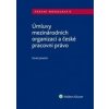 Úmluvy mezinárodních organizací a české pracovní právo - Pavel Janeček