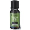 Kamala Vonný olej Škoricové jablko (10ml)