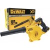 DeWalt DCV100
