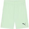 Pánske futbalové šortky Puma, TEAMGOAL SHORTS svetlo zelená,Čierna M