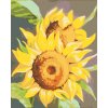 ZUTY Maľovanie podľa čísel - SLNEČNICA 2 (MYROSLAVA VOLOSCHUK) Rámovanie: vypnuté plátno na rám, Rozmer: 80x100 cm