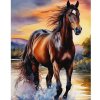 Diamantový obraz Kôň vo vode